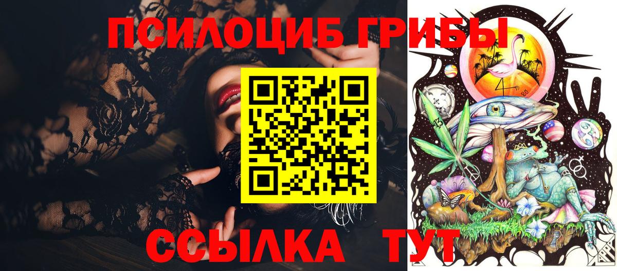 Псилоцибиновые грибы Psilocybine cubensis Химки